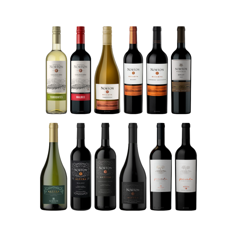 The Norton Twelve – All Twelve Norton Wines Mixed Case (12 × 750ml)